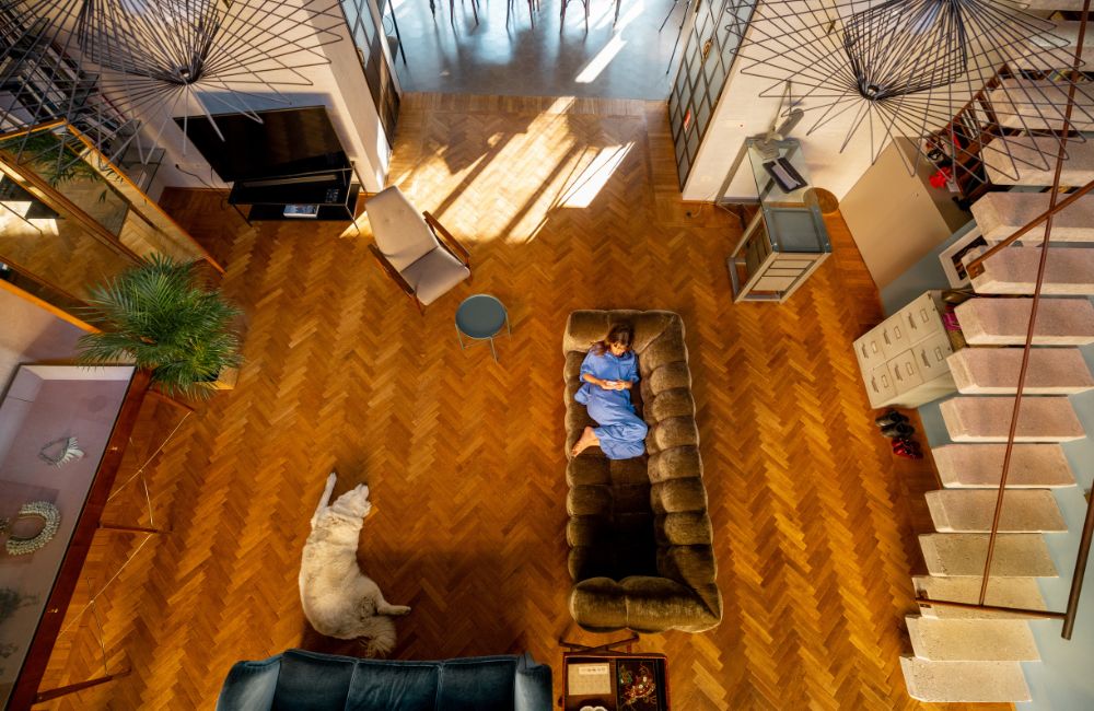 Pet And Hardwood Floor Image