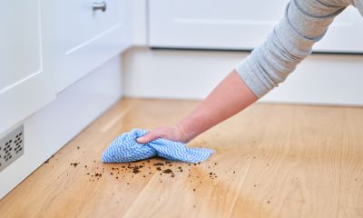 Dust-Free Hardwood Floor Refinishing Connecticut Homeowners Trust Image