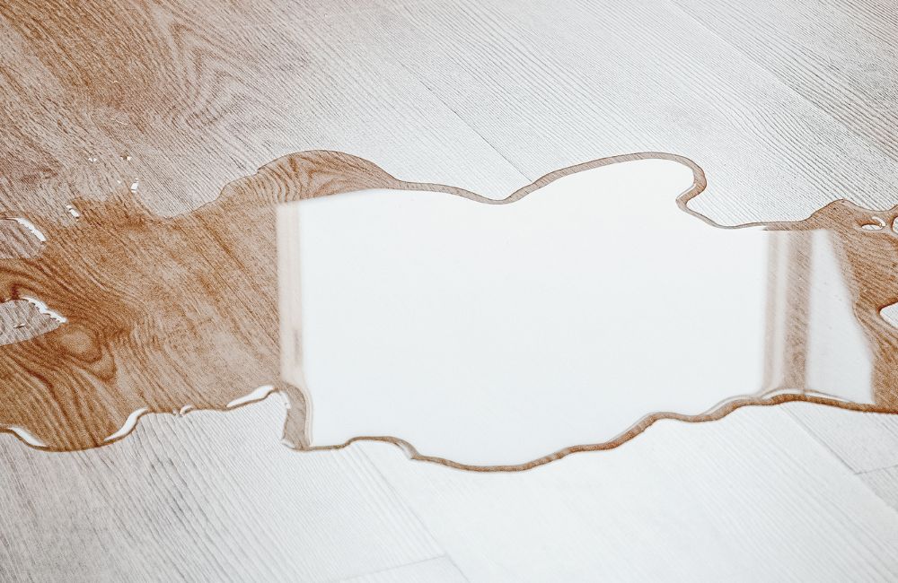 Hardwood Floor Moisture Damage Connecticut: Warning Signs & Prevention Image