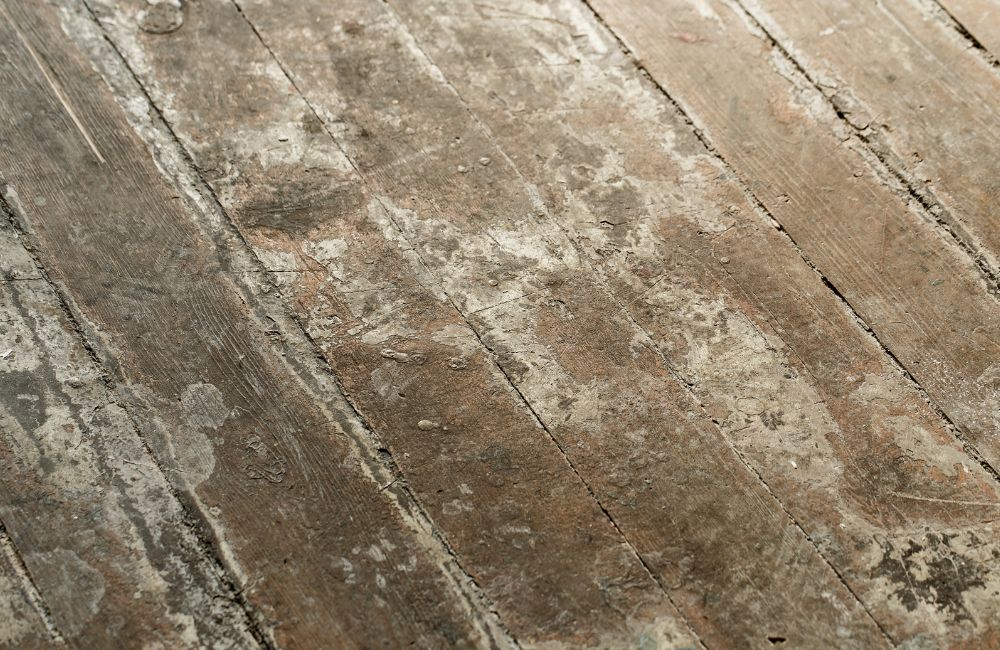 Hardwood Floor Wear Patterns: Causes & Prevention Image