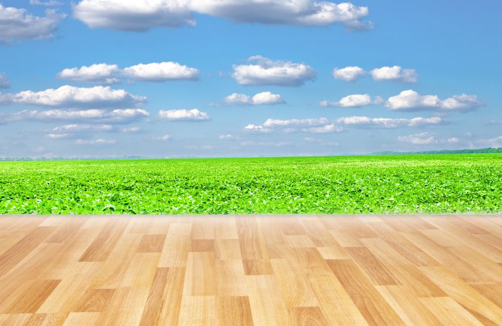 summer hardwood floor care Connecticut checklist Image