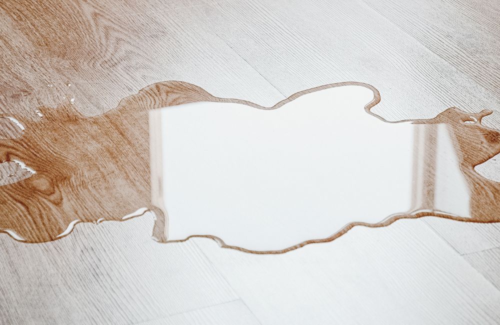 Hardwood Floor Water Damage CT: First 24 Hours Image
